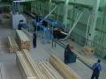 Новые лесоперерабатывающие производства в Коми отложили на будущее 