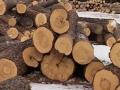 Оборудование для обработки древесины в Красноярском крае